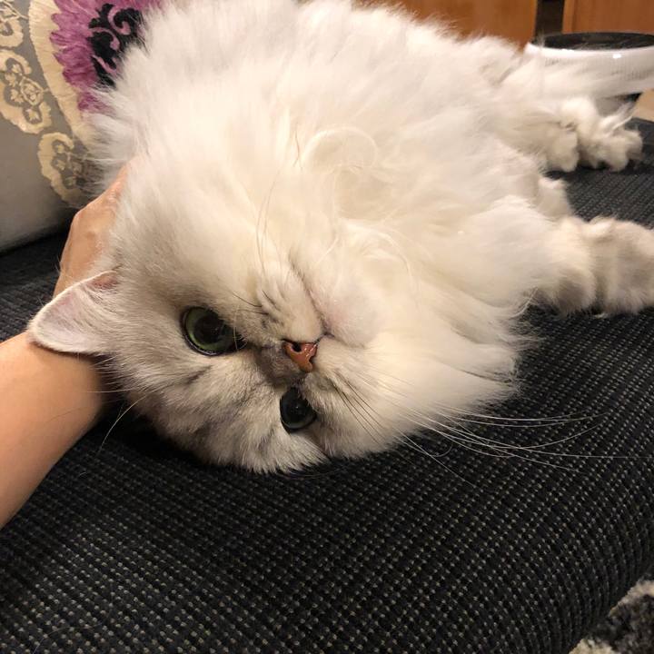 6050e1aa da4b 47ee 9599 267f9f18041a 1573812125530