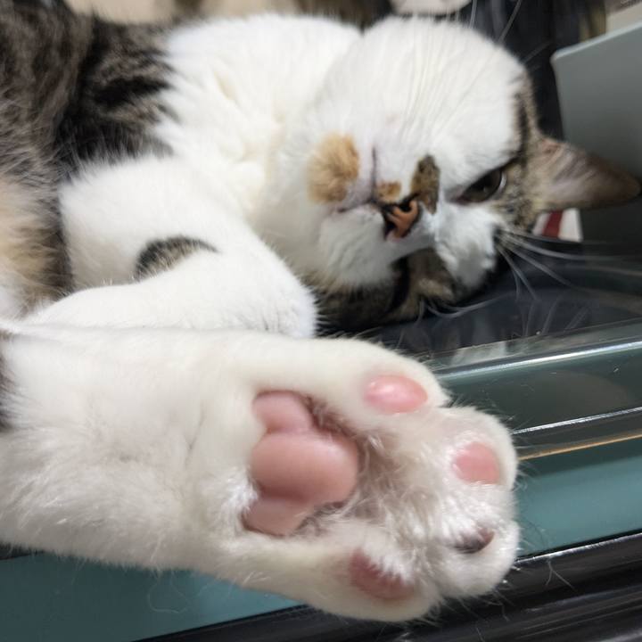 6050f8e0 36f8 4952 a9d2 2cb8ac52b9da 1723371216202