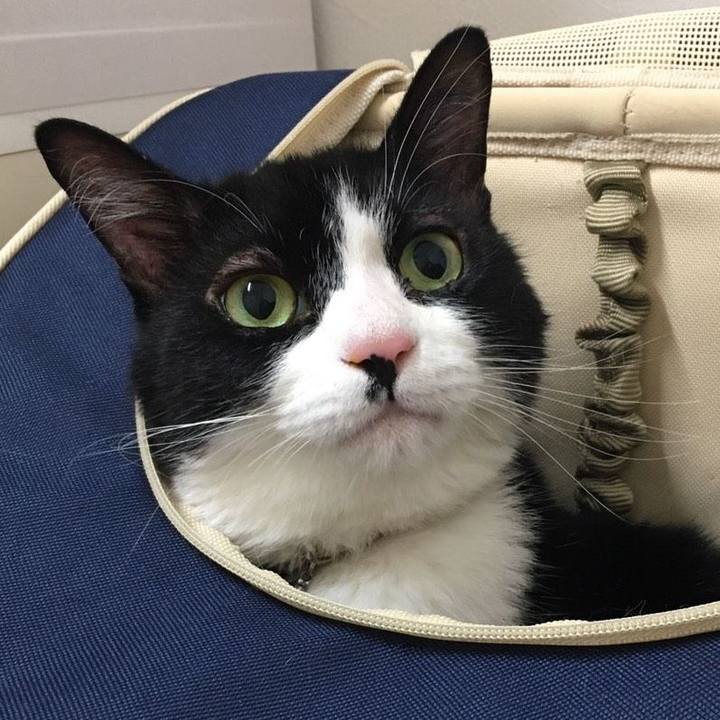 6051012e b484 4354 a656 8c65fd0b881e 1585958698244