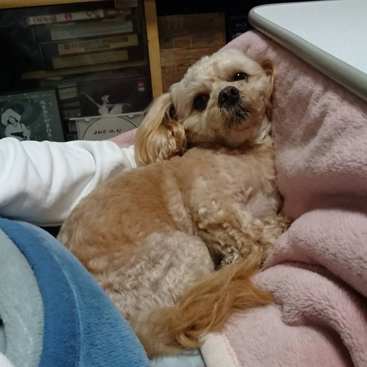 605155d5 3cd1 40e5 a992 7bcf7b1e40ce 1520345726241