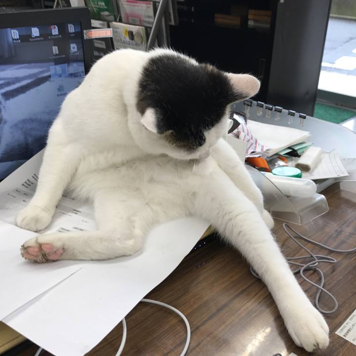 60519528 6698 4758 834d e752b75c3297 1508461208843