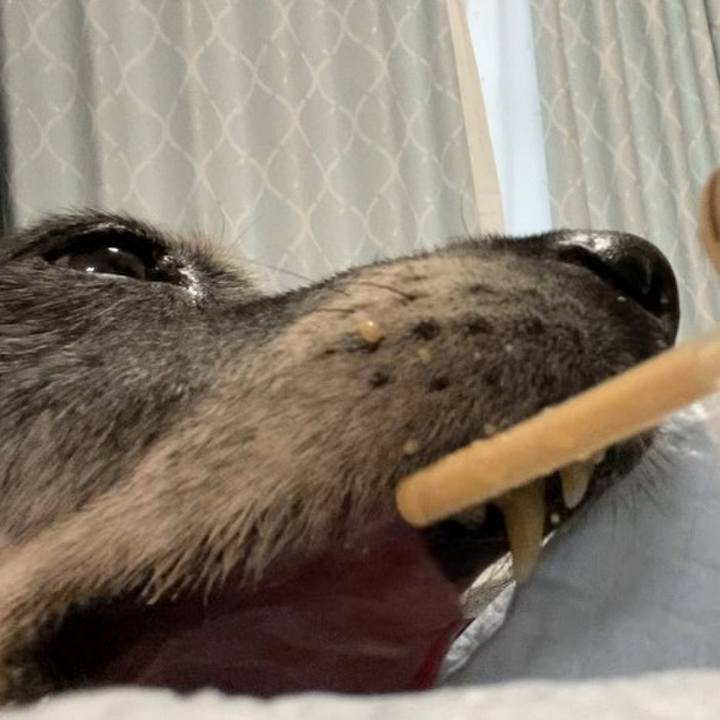 6051958a b43c 49eb 9ad1 ae711a71a527 1753684003161