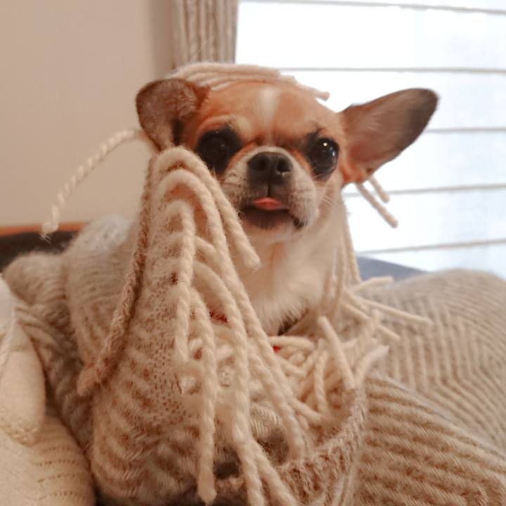 60519dbd 1d47 4998 9ce7 74ebd5c04354 1575414240601