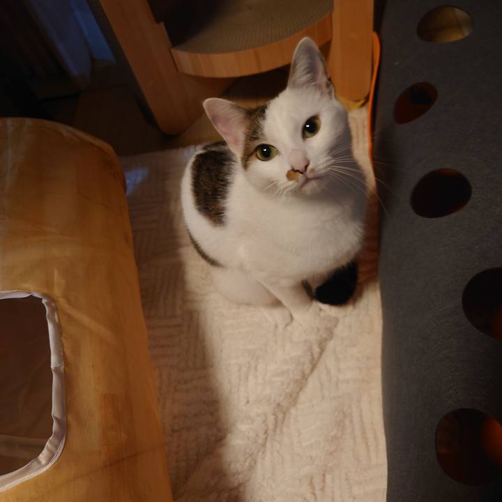 6051a438 e78b 4433 ad59 047069090347 1698670660280