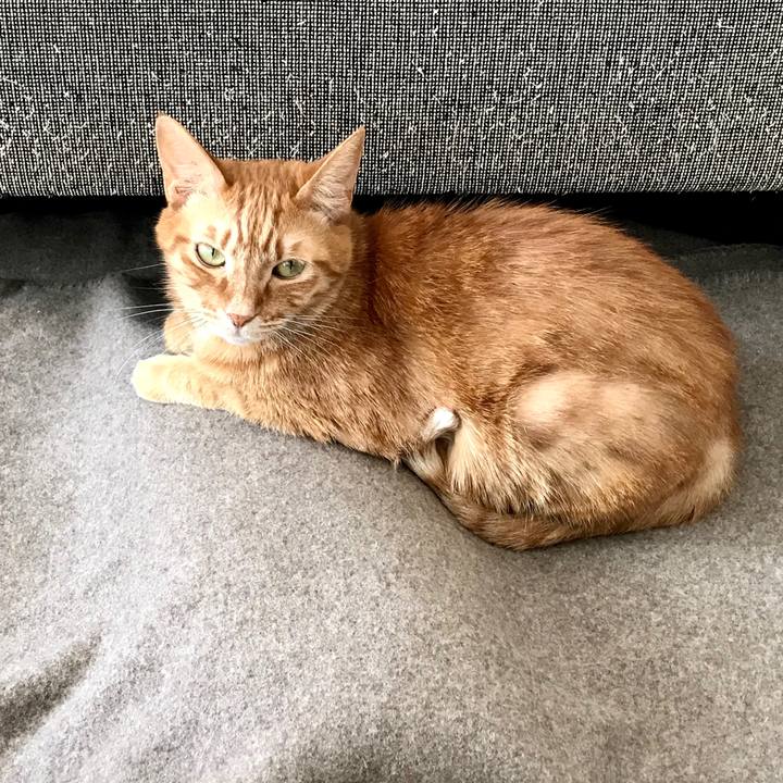 6051b8b8 bd2a 4d9f 9b3c 99c818268ffc 1548990222783