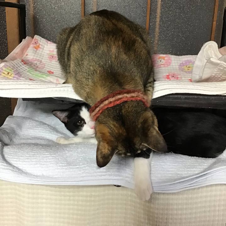 6051f8d1 3356 481e aef9 5e1e5efa5ddf 1632647573486