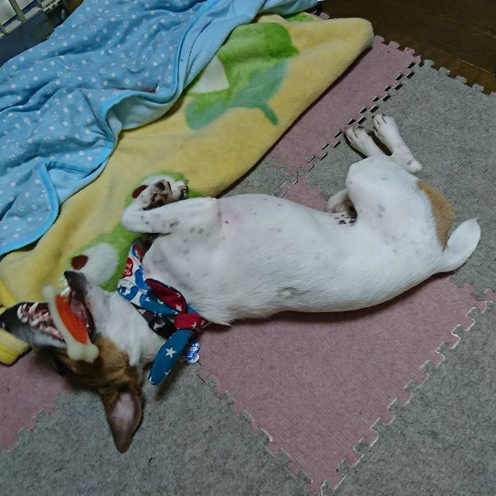 60520ca6 2ddb 4dd4 8f15 5f49d697db99 1532003055559