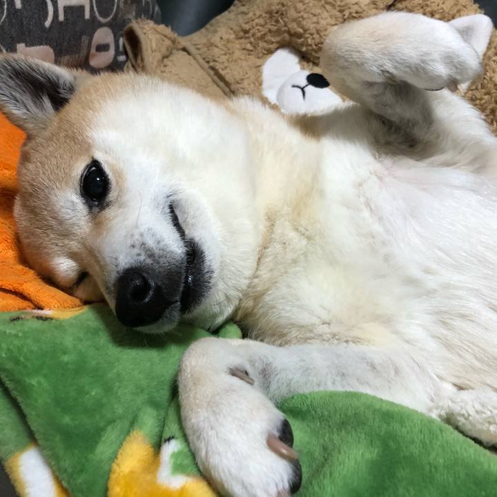 60521abe 6446 450c 8e85 7630a4bd17b6 1584101862710