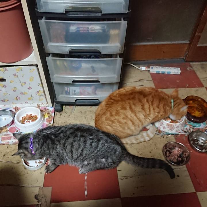 60524090 e726 4e6a 9fdb 87be38cb1007 1581584675638