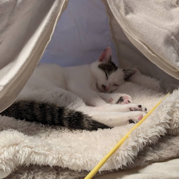 60529a88 4f99 4ef9 8041 4adb2eb9bdaa 1709994232410