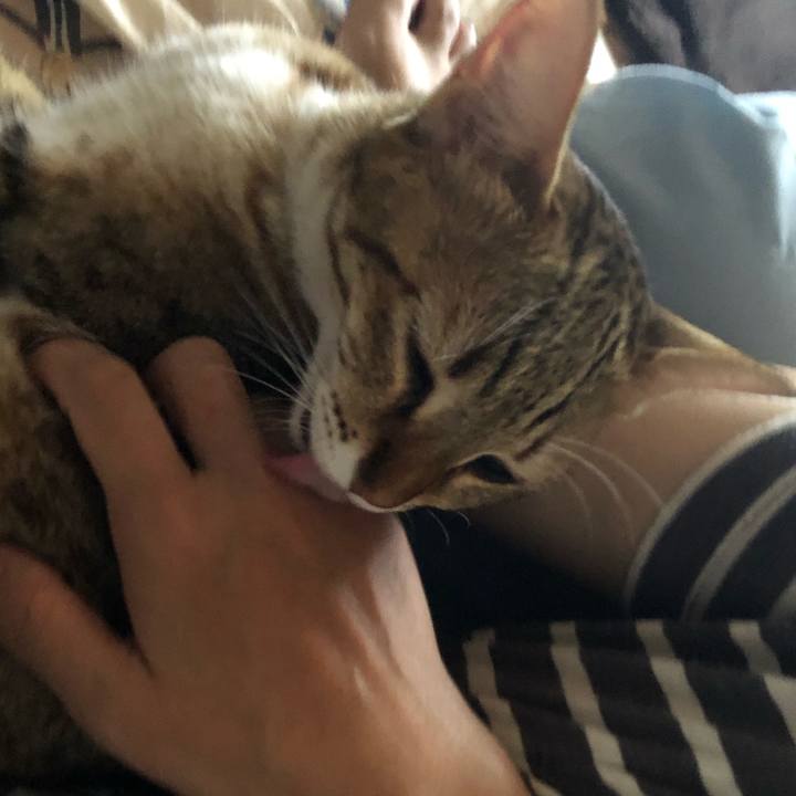 60529ff8 7718 4a61 b459 32a83a152312 1603604212921