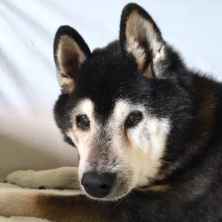 6052c741 940e 42e9 80da b46640437c93 1546655422993