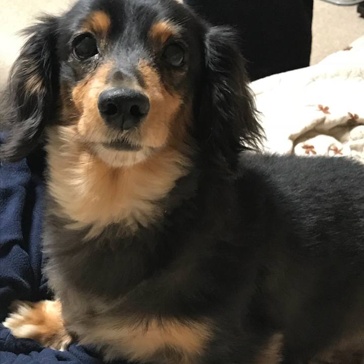 60532818 5060 4630 a57e 763d0d0b2c37 1521933142063