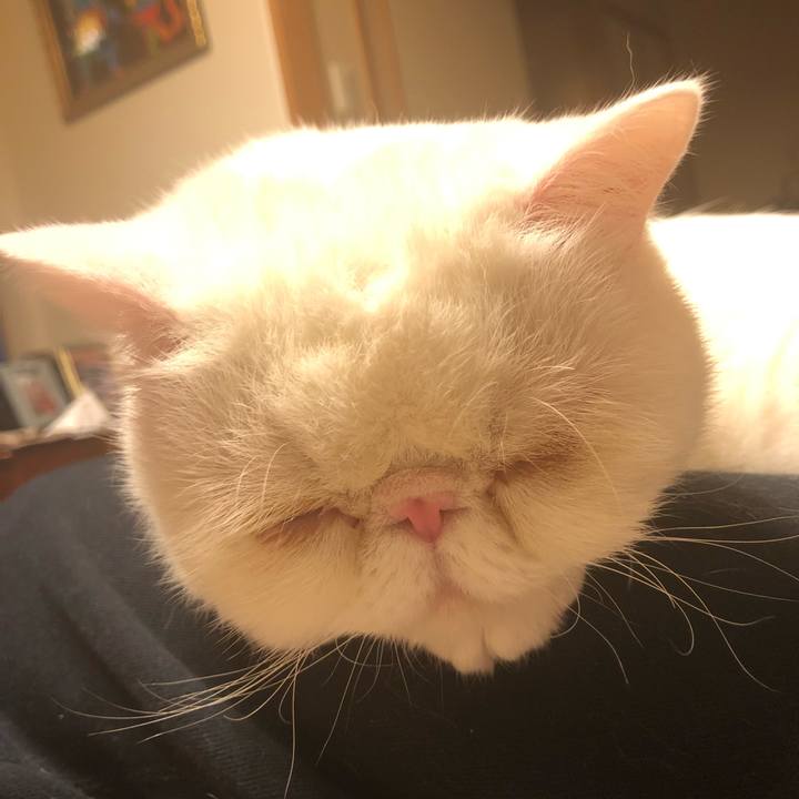 60534e5f 476f 4083 967d d5b7c1fd63dc 1613915080052