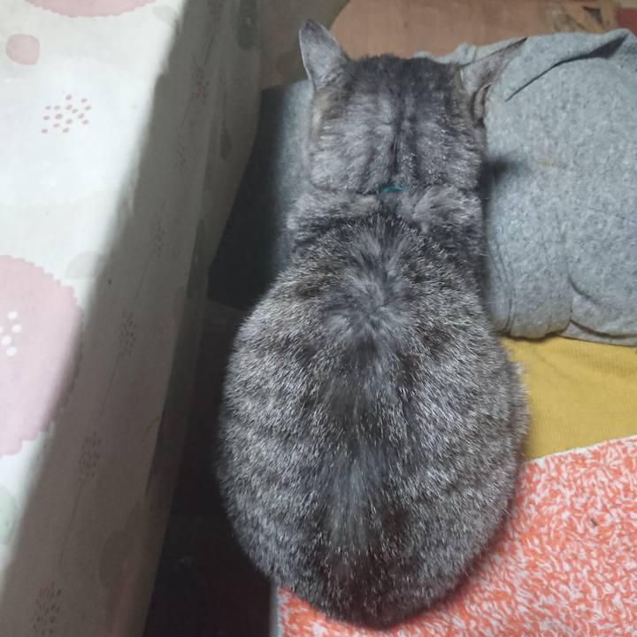 605372fd ee99 435d 9613 19374c1f6509 1572257647675