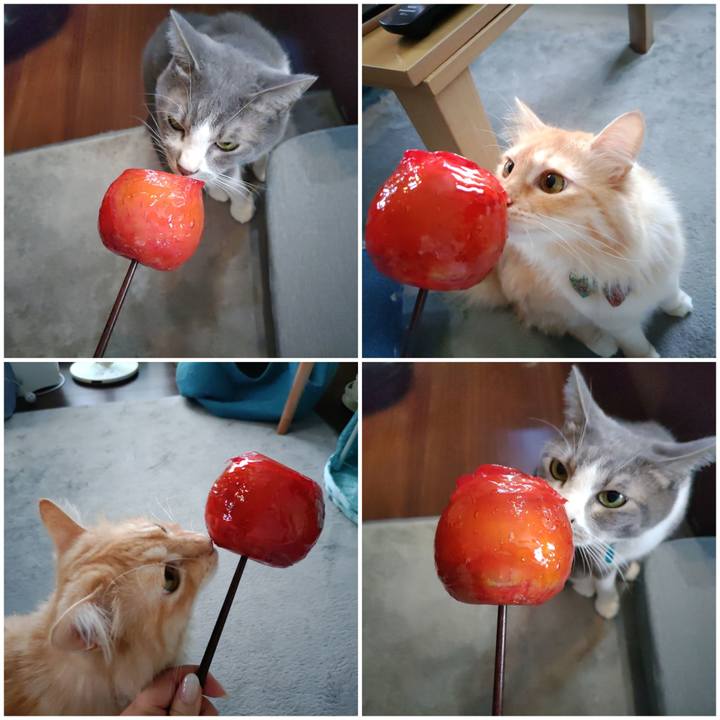 6053770e b4f8 4936 a678 797f7dc302be 1661584914947