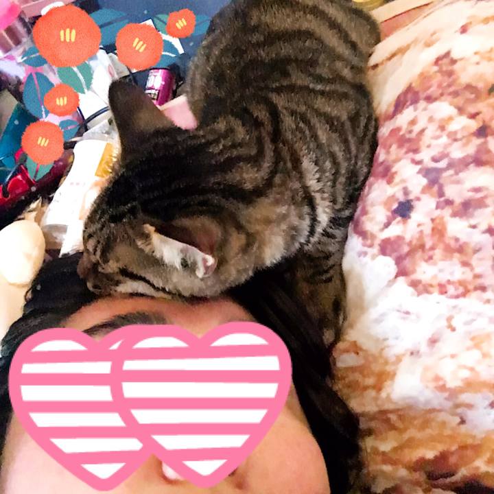 605394cb 9c82 4070 bcb6 f1c2ba2f857c 1543281236471