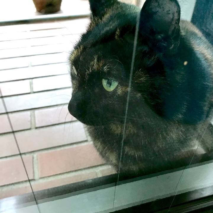 6053a178 4d61 4ee9 ba2d 19b057fea462 1545543408626