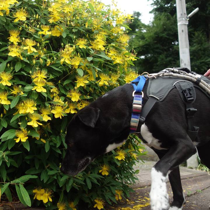 6053b5a1 5f2e 4d30 b783 dafbac486438 1654734580452