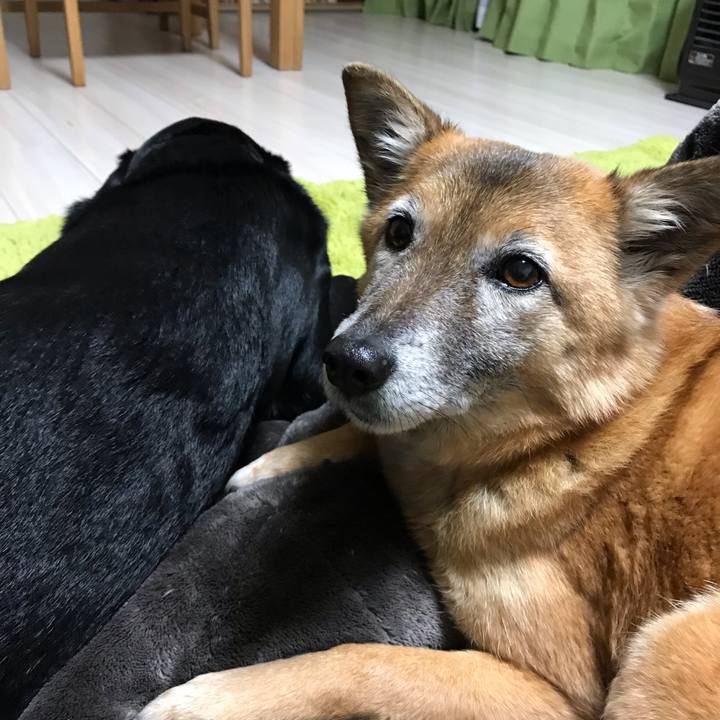 6053c309 8af2 431e 844b f794288cd380 1552394336837