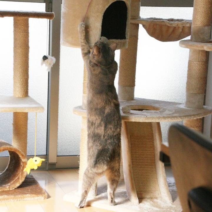 60543d13 e141 4422 b245 8120b77be776 1548756904093