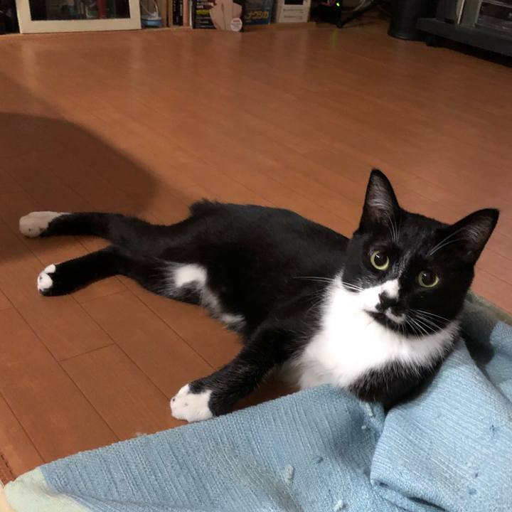 6054412d 6cef 4992 a534 e3c2a0fe9737 1538106861230