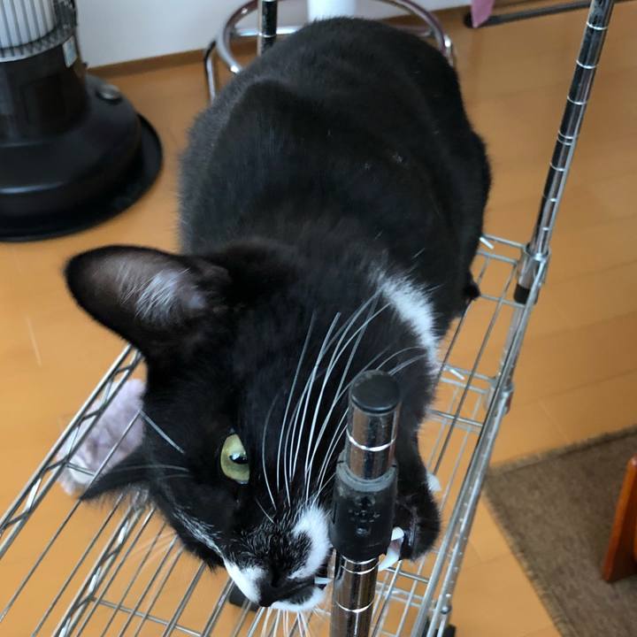 605462e0 8320 42f0 be8f d9e3b9bfd4cd 1524627923976