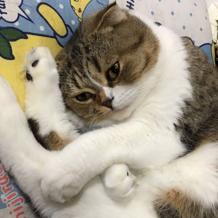 60549f42 c615 407b 917c 5b52c80470db 1544339857036