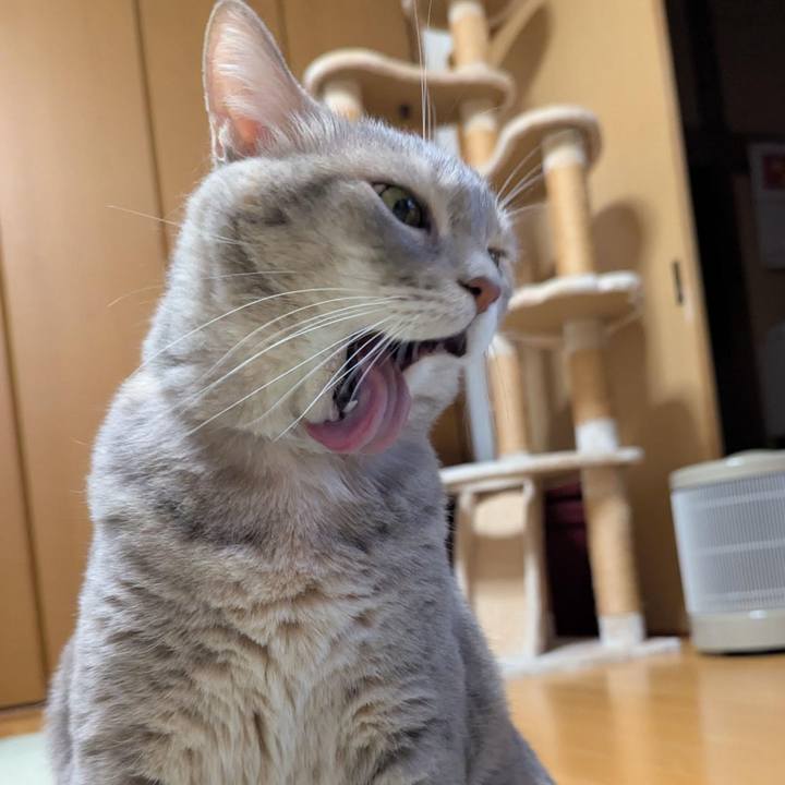 6054b46c 9bde 4ea3 8eb6 ad5fa829b571 1762841283133