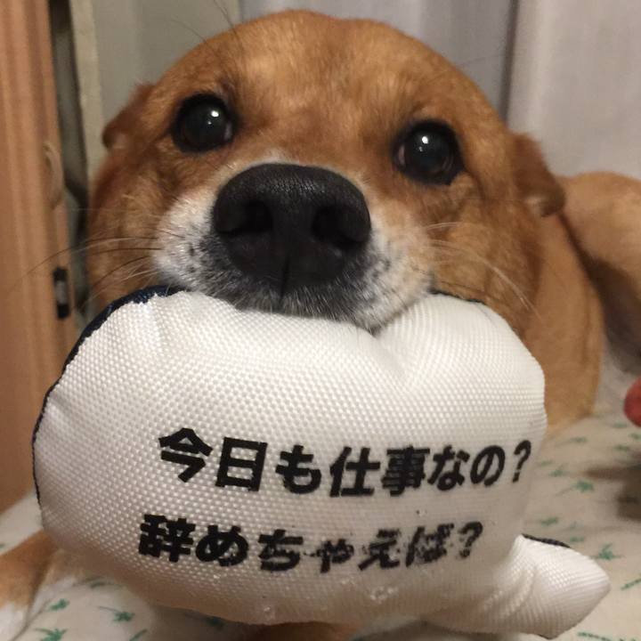 6054dabb ae78 4f39 9e8e 337d4fbfd185 1593351494622