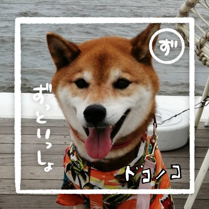 605533da 1a45 4218 ab77 23c7b48b34fb 1685969372007