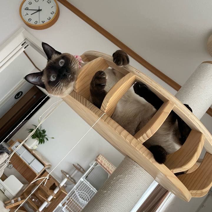 605555ff 7bda 4587 a973 6fd7d117e943 1718055811387