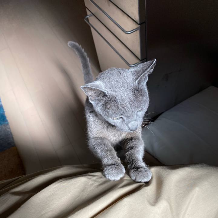 60556914 87d4 4e41 9048 b70a6e66035a 1620740322587