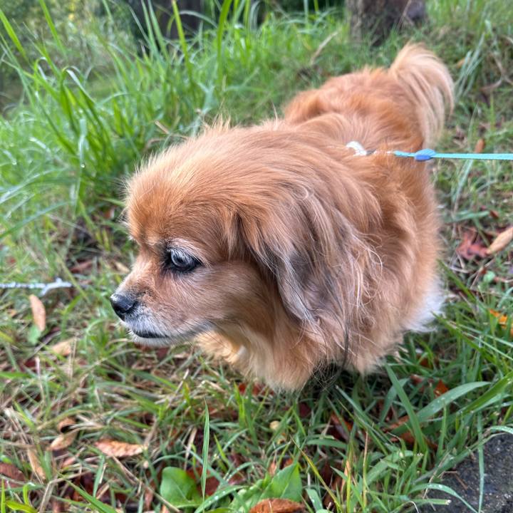 60559ae1 aab0 4058 9f7d d6b849928cf1 1762126699644