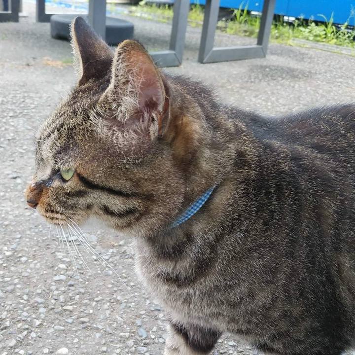 60559bf4 58e2 4d82 aac9 ecd56cdbf2b6 1657593491377