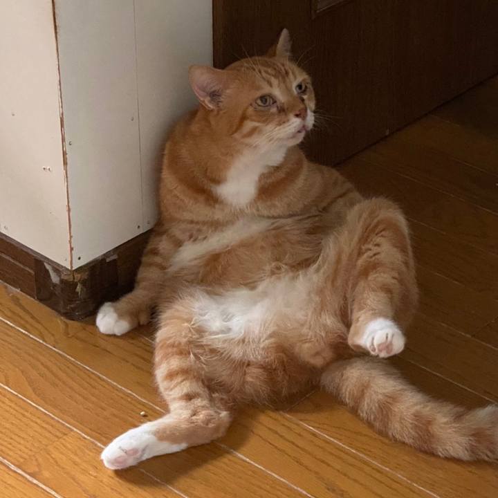 6055a529 53dc 4f7c 9f76 994594dfe980 1621610342871