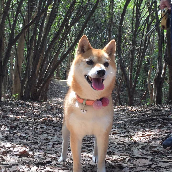 6055a8ce 7362 486b a102 262f3bda7193 1522479136312