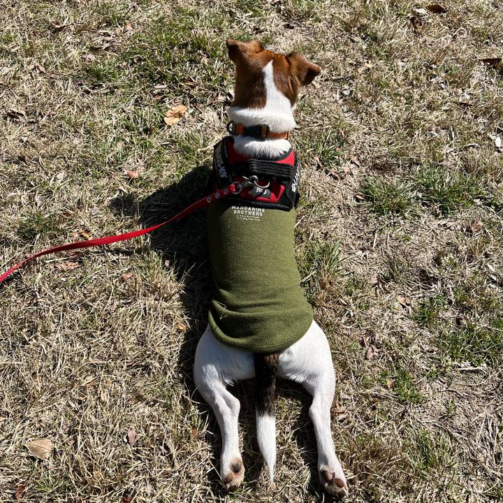 6055bcaf 3d1b 42ae 89b0 c3c72e55aa70 1708775653756