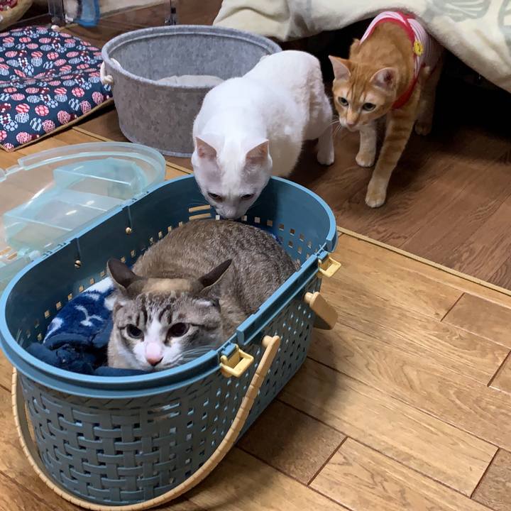 6055f0db 3a1c 4a3f bb23 5470b3fe27cd 1579430791910