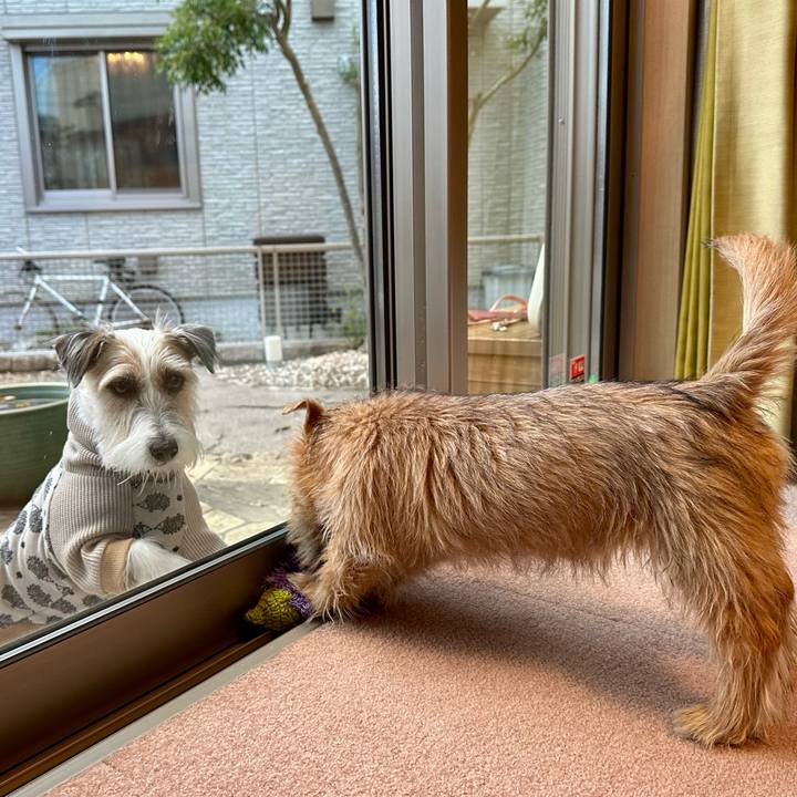 6055f686 a1b9 4fd5 9a5c 6d4ff2c50a10 1704639094791