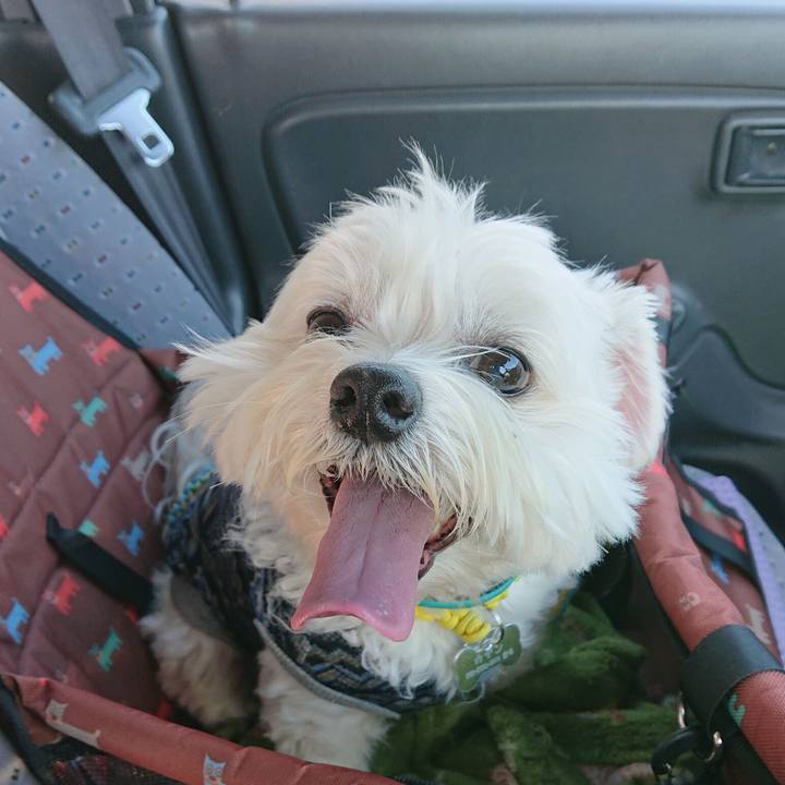 60566913 56fb 406a b2ae 9e56863f2826 1614771768790