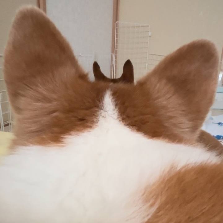 6056aa1b de35 4983 be50 7f2662da008f 1751435108884