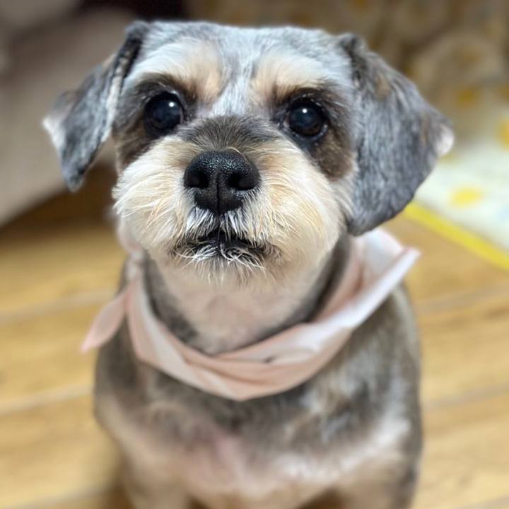 60571900 2752 4b9f 94e1 febc8ecf0e8e 1707209389677