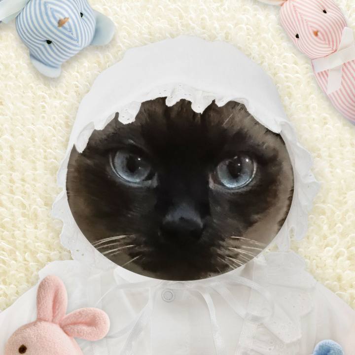 60573c45 6ec4 4eae 9b4e 9dab02a6335c 1515415976872