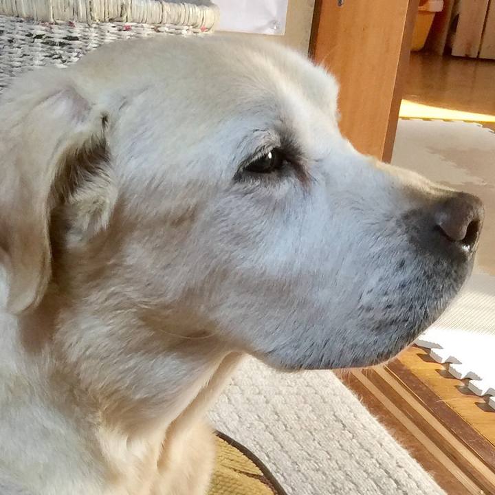 605747a6 36f2 4e83 b4f3 946976e33ba3 1521113791965