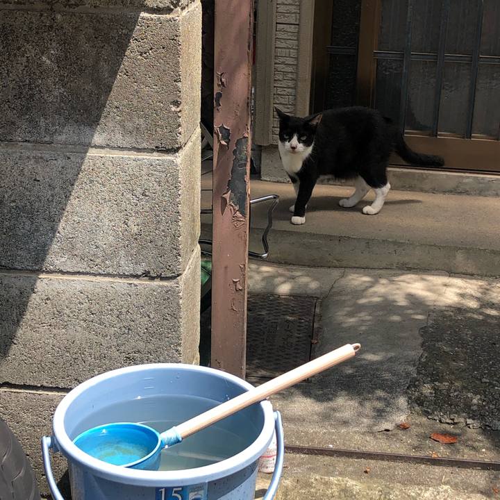 60575827 911f 4cf9 8c24 913ee1b441c6 1599977659941