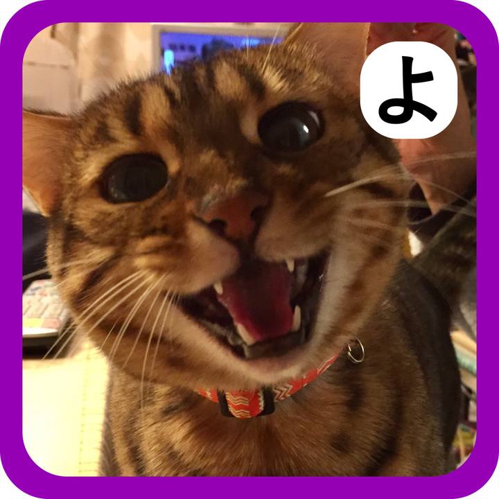 605759f6 bc64 491b a4c2 de57781d8d34 1514817524414