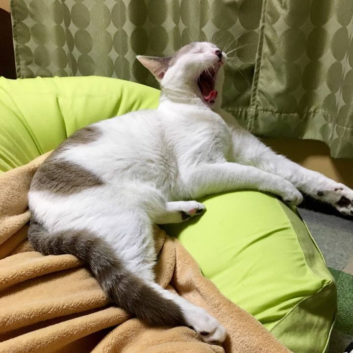 60577323 dbdf 4762 89dd cf5e33362d42 1542095377905