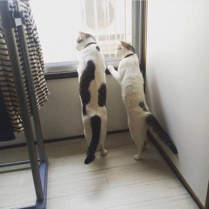 60577d61 f6bb 401a a4e6 2be382ee4b9d 1546591662205