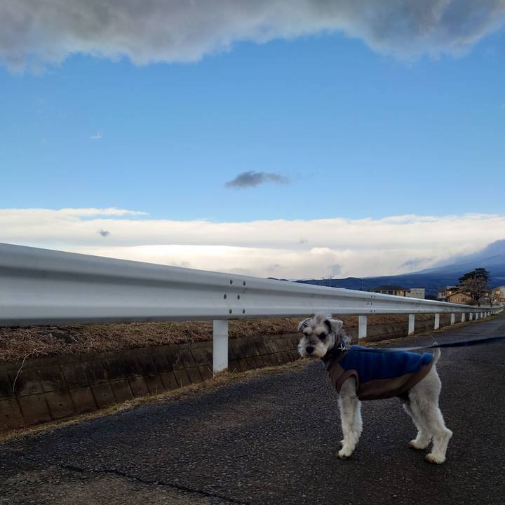 60579020 dfb8 4bd6 a583 9865a4276bda 1772839799242